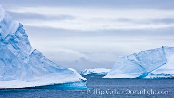 Icebergs and ice near Paulet Island.