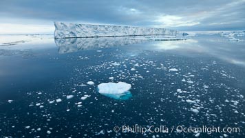 Icebergs and ice near Paulet Island