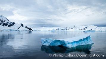 Icebergs in Paradise Bay, sculpted by water and time, Antarctica