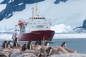 Icebreaker M/V Polar Star, anchored near Peterman Island, Antarctica, Pygoscelis papua