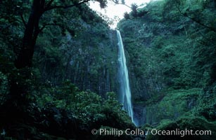 Iglesias Falls, waterfall, Cocos Island