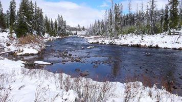 Indian Creek in winter, snow, Yellowstone National Park, Wyoming