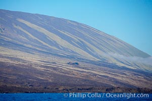 Isabella Island.