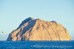 Isla Adentro, Guadalupe Island (Isla Guadalupe)