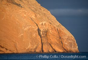 Isla Adentro, Guadalupe Island, Mexico, Guadalupe Island (Isla Guadalupe)