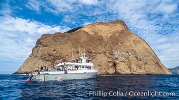 Isla Adentro, Guadalupe Island, Mexico, Guadalupe Island (Isla Guadalupe)