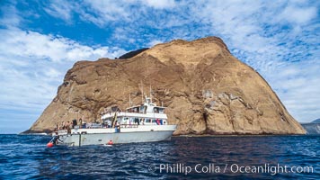 Isla Adentro, Guadalupe Island, Mexico, Guadalupe Island (Isla Guadalupe)