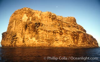 Isla Afuera, morning light, Guadalupe Island (Isla Guadalupe)