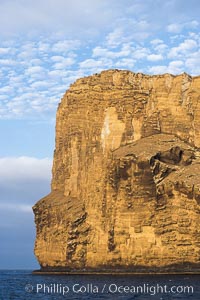 Isla Afuera is a volcanic plug towering 700 feet above the ocean near the south end of Guadalupe Island.  Its steep cliffs extend underwater hundreds of feet offering spectacular wall diving and submarine topography, Guadalupe Island (Isla Guadalupe)