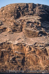 Isla Afuera, Guadalupe Island, Mexico, Guadalupe Island (Isla Guadalupe)