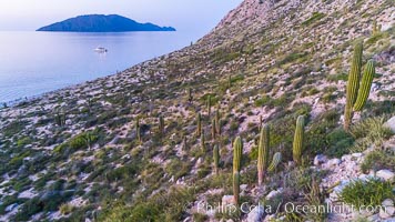 Isla San Diego, Aerial View, Sea of Cortez