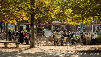 Jardin des Tuileries. The Tuileries Garden is a public garden located between the Louvre Museum and the Place de la Concorde in the 1st arrondissement of Paris. created by Catherine de Medicis as the garden of the Tuileries Palace in 1564.