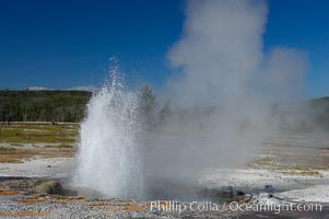 Jewel Geyser reaches heights of 15 to 30 feet and lasts for 1 to 2 minutes.  It cycles every 5 to 10 minutes.  Biscuit Basin, Yellowstone National Park, Wyoming