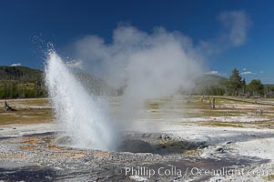 Jewel Geyser reaches heights of 15 to 30 feet and lasts for 1 to 2 minutes.  It cycles every 5 to 10 minutes.  Biscuit Basin, Yellowstone National Park, Wyoming