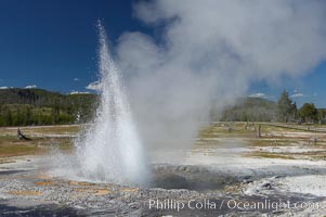 Jewel Geyser reaches heights of 15 to 30 feet and lasts for 1 to 2 minutes.  It cycles every 5 to 10 minutes.  Biscuit Basin, Yellowstone National Park, Wyoming