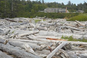 Enormous driftwood logs stack up on the wide flat sand beaches at Kalaloch, Olympic National Park, Washington