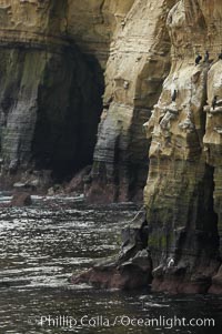 Sea cliffs and sea caves at sea level, made of sandstone and eroded by waves and tides, La Jolla, California