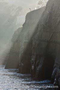 Sea cliffs and sea caves at sea level, made of sandstone and eroded by waves and tides, La Jolla, California