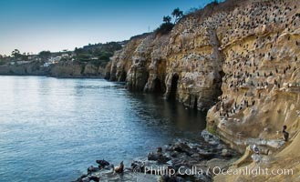 La Jolla Sea Caves, the famous La Jolla sea caves lie below tall cliffs at Goldfish Point. Sunrise