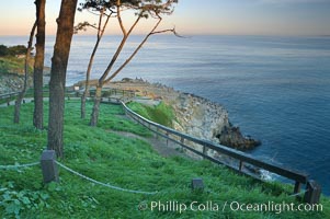 Bluff and trees overlooking the ocean near La Jolla Cove, sunrise.