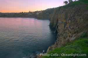 La Jolla Cliffs overlook the ocean with thousands of cormorants, pelicans and gulls resting and preening on the sandstone cliffs.  Sunrise with pink skies