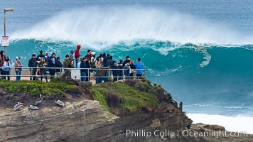 La Jolla Cove Big Surf, Saturday January 14 2023