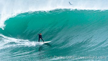 La Jolla Cove Big Surf, Saturday January 14 2023