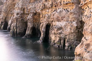 Sea Caves, the famous La Jolla sea caves lie below tall cliffs at Goldfish Point.  Sunny Jim Cave. Sunrise