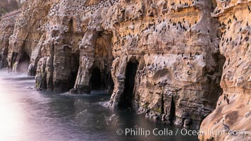 Sea Caves, the famous La Jolla sea caves lie below tall cliffs at Goldfish Point.  Sunny Jim Cave. Sunrise