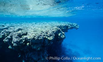 Lagoon pinnacles, Rose Atoll National Wildlife Sanctuary