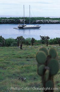 Boat Lammer Law anchored at South Plaza Island