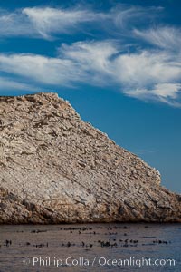 Las Animas island, large bachelor colony of male adult California sea lions in foreground, near La Paz, Sea of Cortez, Baja California, Mexico