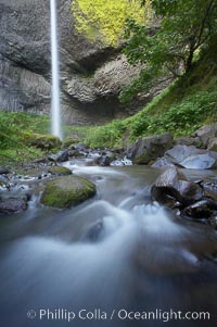 Cascades below Latourelle Falls, in Guy W. Talbot State Park, drops 249 feet through a lush forest near the Columbia River, Columbia River Gorge National Scenic Area, Oregon