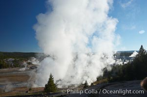 Ledge Geyser, vents releasing steam, in the Porcelain Basin area of Norris Geyser Basin, Yellowstone National Park, Wyoming