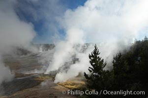 Ledge Geyser, vents releasing steam, in the Porcelain Basin area of Norris Geyser Basin, Yellowstone National Park, Wyoming