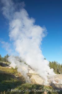 Ledge Geyser, vents releasing steam, in the Porcelain Basin area of Norris Geyser Basin, Yellowstone National Park, Wyoming