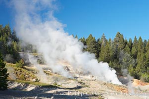 Ledge Geyser, vents releasing steam, in the Porcelain Basin area of Norris Geyser Basin, Yellowstone National Park, Wyoming