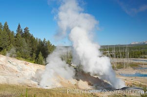 Ledge Geyser, vents releasing steam, in the Porcelain Basin area of Norris Geyser Basin, Yellowstone National Park, Wyoming