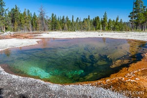 Lemon Spring along Firehole Lake Drive, Lower Geyser Basin, Yellowstone National Park, Wyoming