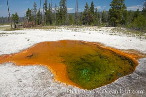 Lemon Spring along Firehole Lake Drive, Lower Geyser Basin, Yellowstone National Park, Wyoming