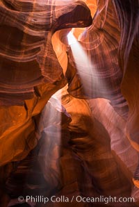 Light Beam in Upper Antelope Slot Canyon.  Thin shafts of light briefly penetrate the convoluted narrows of Upper Antelope Slot Canyon, sending piercing beams through the sandstone maze to the sand floor below, Navajo Tribal Lands, Page, Arizona