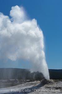 Lion Geyser, whose eruption is preceded by a release of steam that sounds like a lion roaring, erupts just once or a few times each day, reaching heights of up to 90 feet.  Upper Geyser Basin, Yellowstone National Park, Wyoming
