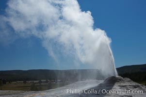 Lion Geyser, whose eruption is preceded by a release of steam that sounds like a lion roaring, erupts just once or a few times each day, reaching heights of up to 90 feet.  Upper Geyser Basin, Yellowstone National Park, Wyoming