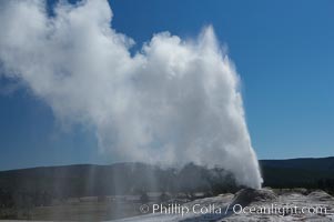 Lion Geyser, whose eruption is preceded by a release of steam that sounds like a lion roaring, erupts just once or a few times each day, reaching heights of up to 90 feet.  Upper Geyser Basin. Yellowstone National Park, Wyoming, USA, natural history stock photograph, photo id 13375