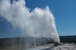 Lion Geyser, whose eruption is preceded by a release of steam that sounds like a lion roaring, erupts just once or a few times each day, reaching heights of up to 90 feet.  Upper Geyser Basin, Yellowstone National Park, Wyoming