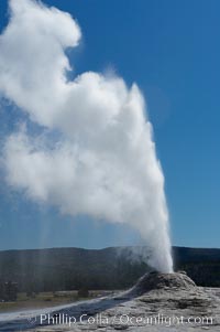 Lion Geyser, whose eruption is preceded by a release of steam that sounds like a lion roaring, erupts just once or a few times each day, reaching heights of up to 90 feet.  Upper Geyser Basin, Yellowstone National Park, Wyoming