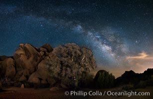 Live Oak and Milky Way, rocks and stars, Joshua Tree National Park at night. California, USA, natural history stock photograph, photo id 28417