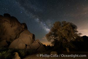 Live Oak and Milky Way, rocks and stars, Joshua Tree National Park at night