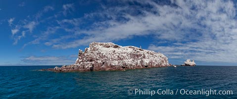 Los Islotes Island, Espiritu Santo-complex Biosphere Reserve, Sea of Cortez, Baja California, Mexico