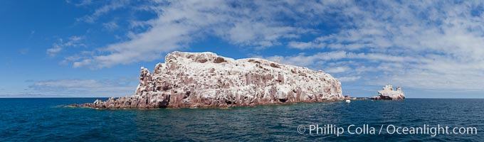 Los Islotes Island, Espiritu Santo-complex Biosphere Reserve, Sea of Cortez, Baja California, Mexico